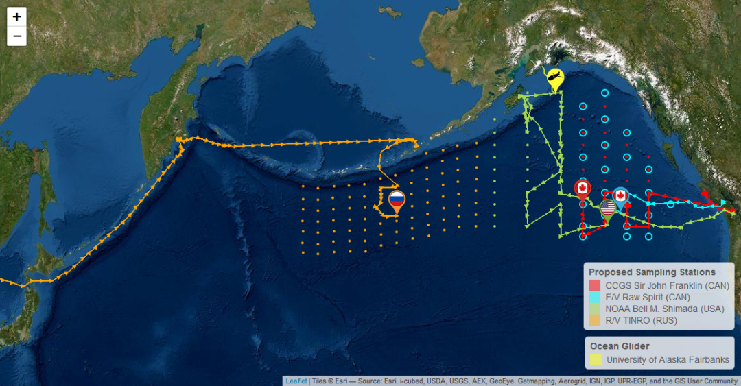 a screenshot of the pacific ocean on google maps showing various multicolored lines representing shipping vessels paths, as well as grids of multicolored dots overlaid on the map