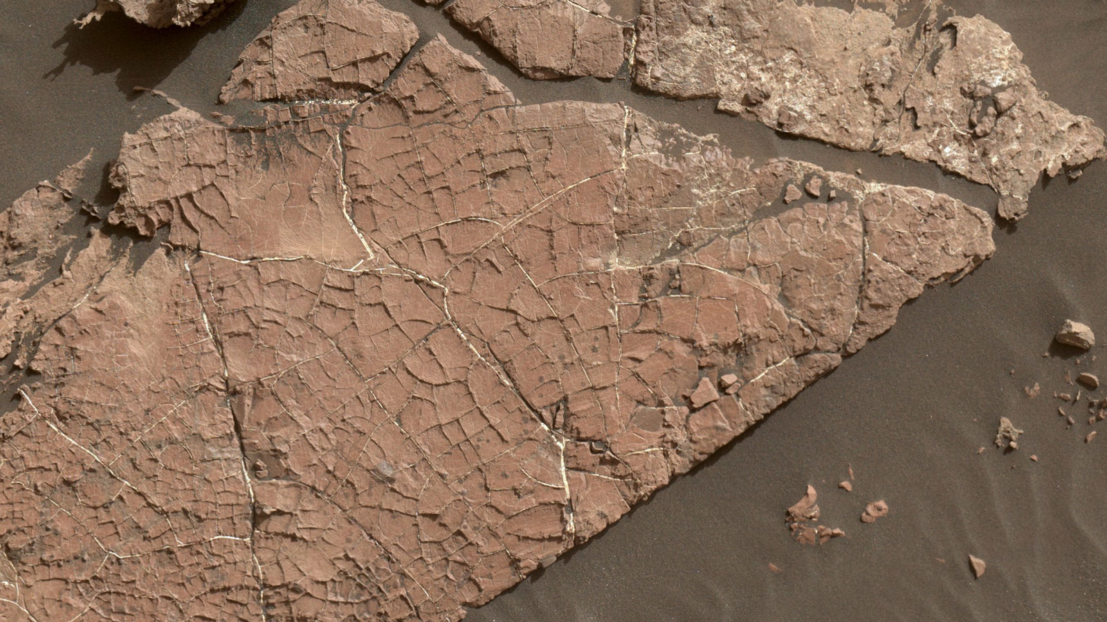 a photo taken by the curious rover shows a dusty red slab of rock with a network of cracks in it, looking like a dried up riverbed