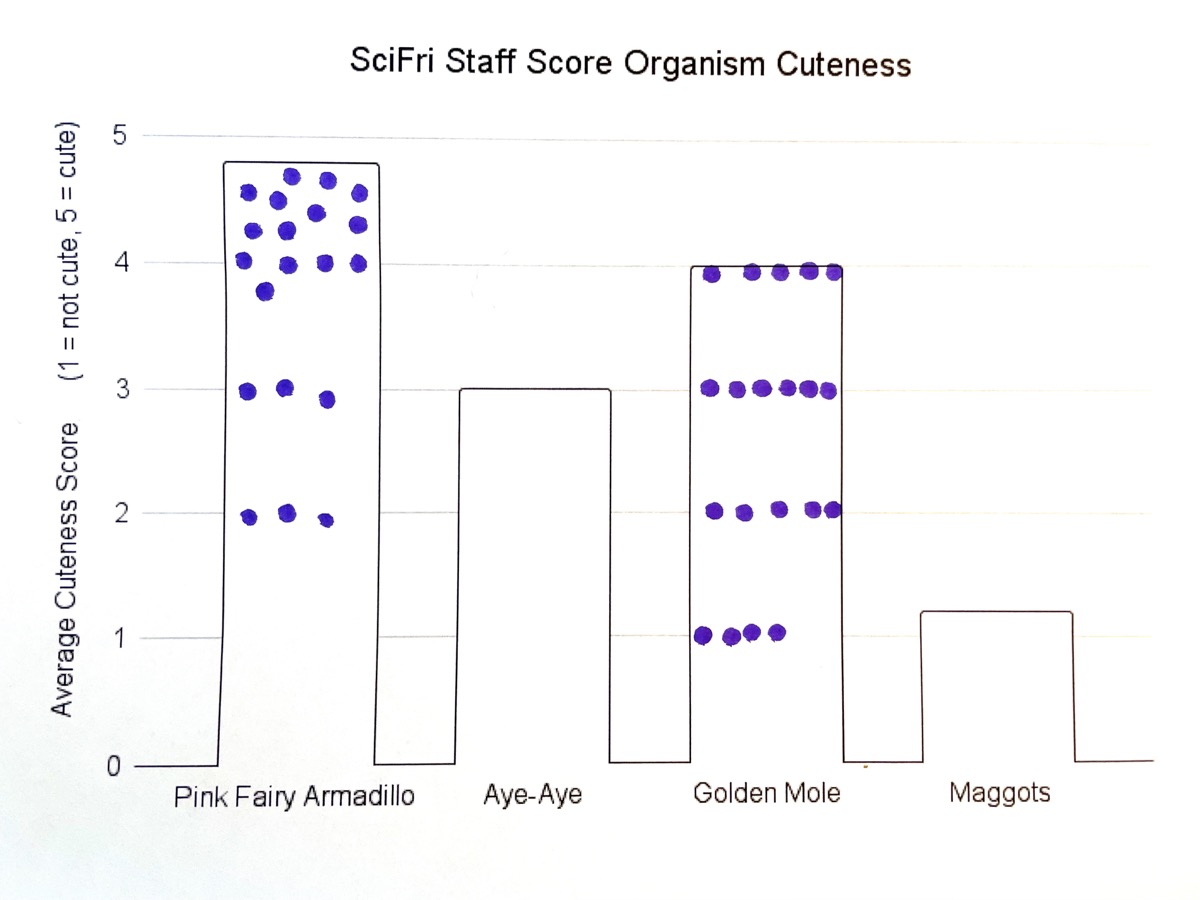A graph is titled SciFri Staff Score Organism Cuteness and has four bars with a label on the bottom of each: Pink Fairy Armadillo, Aye Aye, Golden Mole, Maggots. The height of each bar indicates the average cuteness score of that animal, a score of one means not cute, and a score of five means cute. On the bar labeled Pink Fairy Armadillo, 20 dots have been drawn, but this time all of the dots are below the top of the bar. The same is true for the golden mole bar, all of the dots are restricted to within the bar and are drawn along the lines of the values of cuteness scores of 1, 2, 3, and 4.