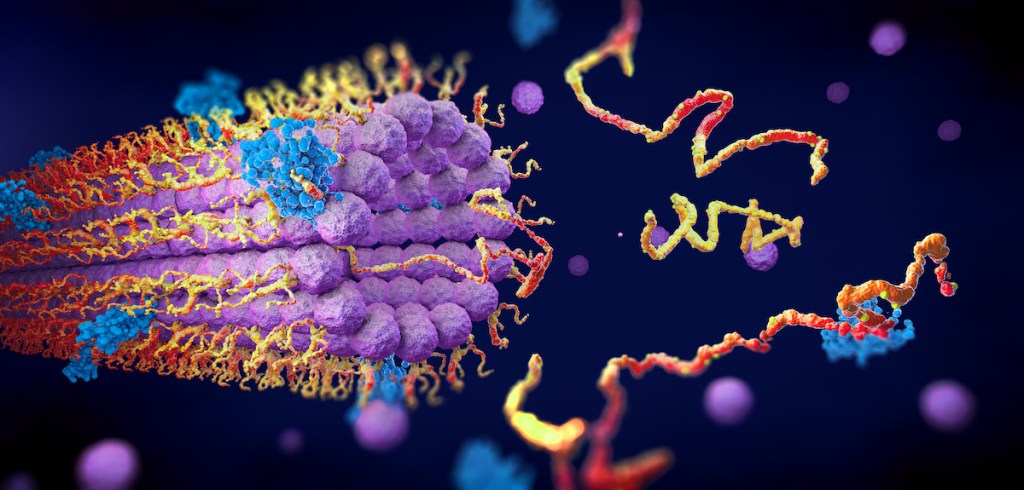 Protein enzymes illustration.