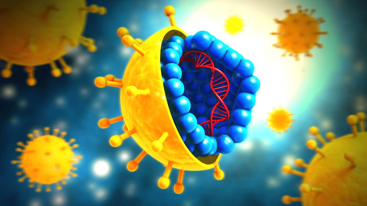 a computer illustration of a spherical cross section of a cell, revealing a DNA strand inside