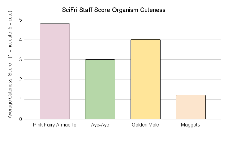 A graph is titled SciFri Staff Score Organism Cuteness and has four bars with a label on the bottom of each: Pink Fairy Armadillo, Aye Aye, Golden Mole, Maggots. The height of each bar indicates the average cuteness score of that animal, a score of one means not cute, and a score of five means cute. The Pink Fairy Armadillo bar comes up just below five, the aye aye is at 3, the golden mole is at 4, and the maggot is a little over 1. It is clear that the Pink Fairy Armadillo has the highest average cuteness score, and the maggot has the lowest average cuteness score.