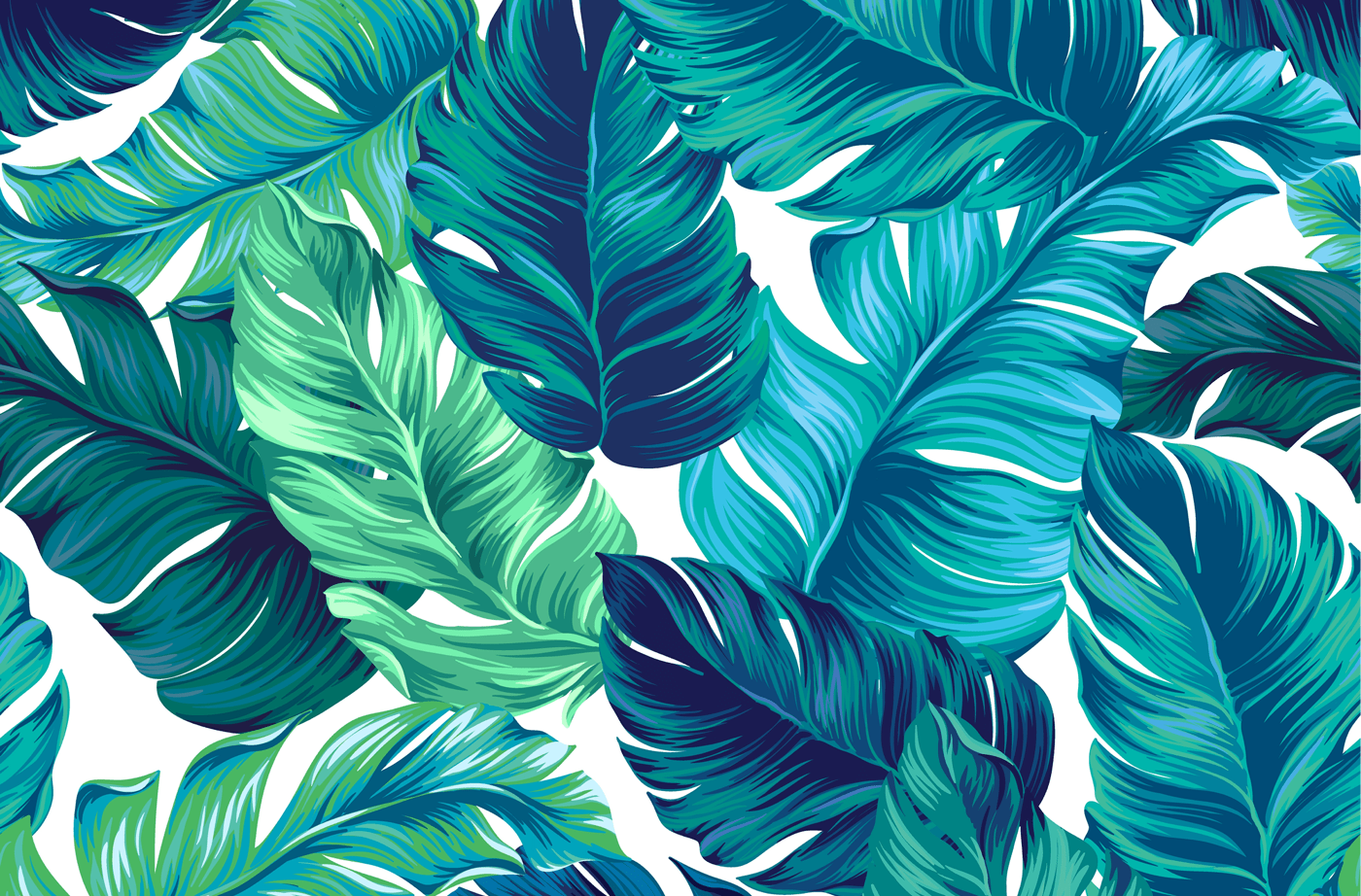 a lush illustration of banana leaves on a white background