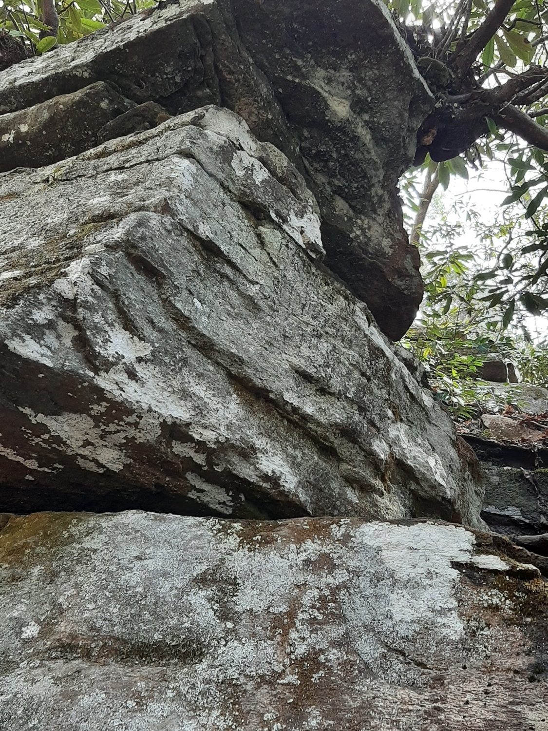 a large angular piece of granite in a forest