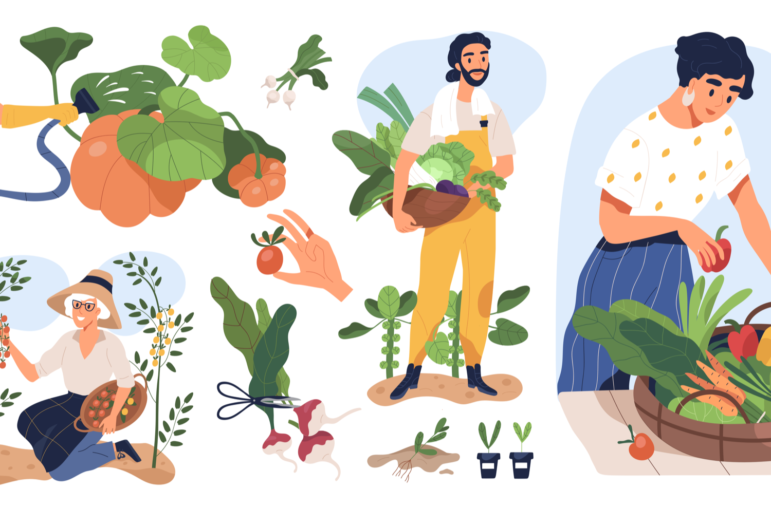 multiple illustrations of people gardening and of plants. on the left, an older woman wearing a broad hat is on her knees picking red small fruit from sprouting branches, someone with a beard in the middle carries a large full of vegetables, and on the right a woman picks out various fruits and vegetables from a large basket