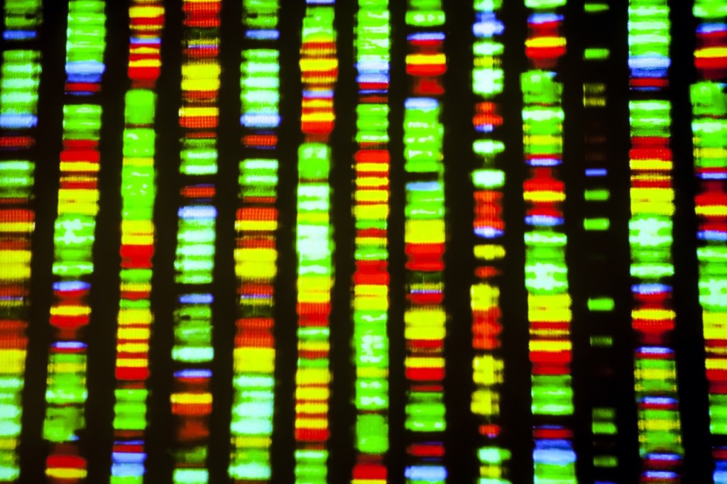 multicolored long vertical roles of lines with different colored segments inside, representing genome strands