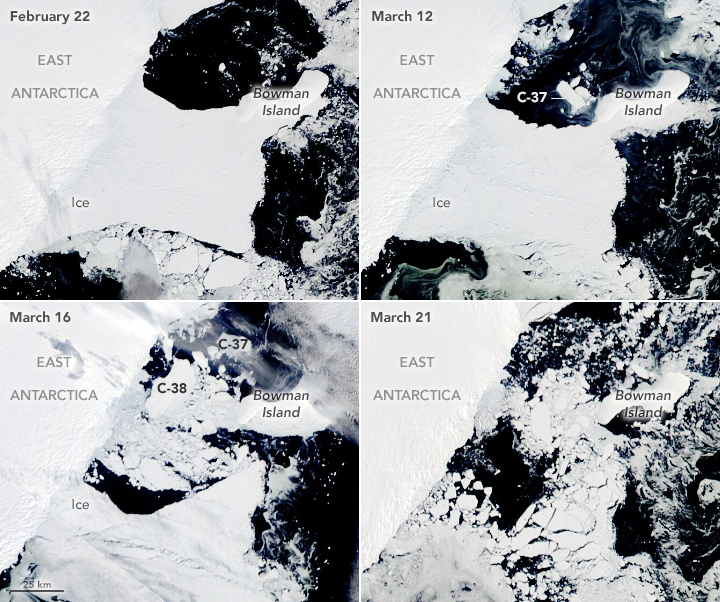 four satellite images images, dated february 22, march 12, march 16, and march 21 show the disintegration of an ice shelf. it goes from a solid to developing many cracks and splits apart revealing dark ocean below