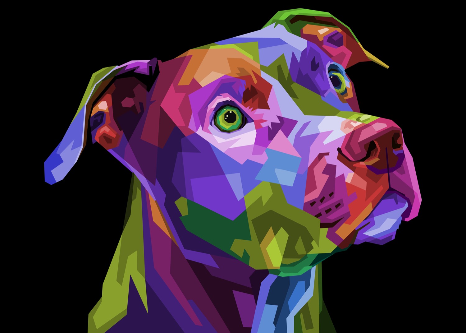 an illustration of a pitbull from the neck up. its skin is made up multicolored geometric patterns