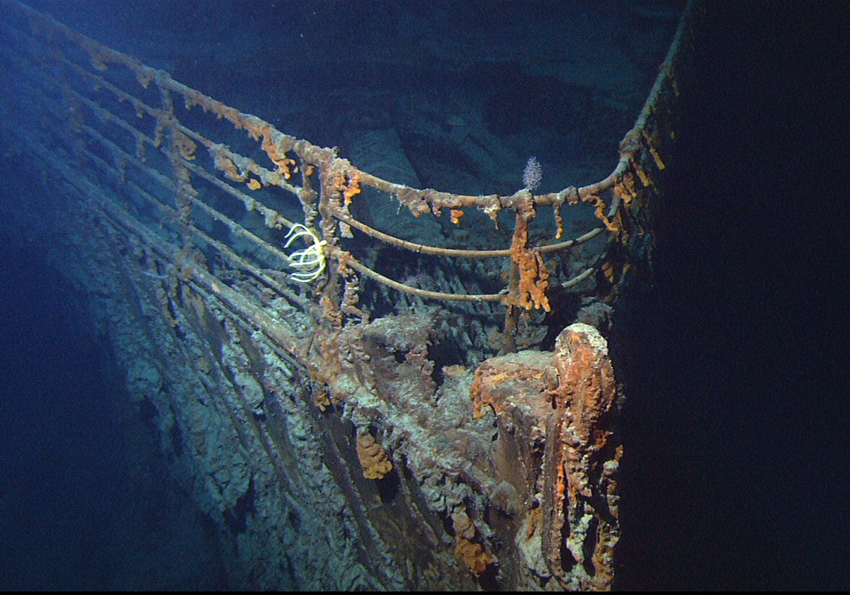 the bow of a sunken ship covered in crustaceans and corrosion