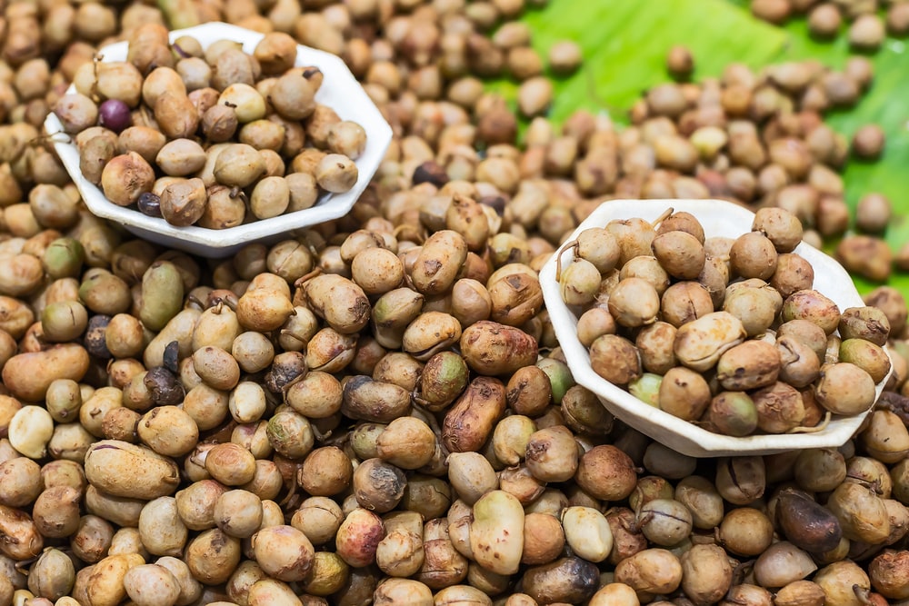 a close up of a pile of brown round seeds with two white dishes of them set aside