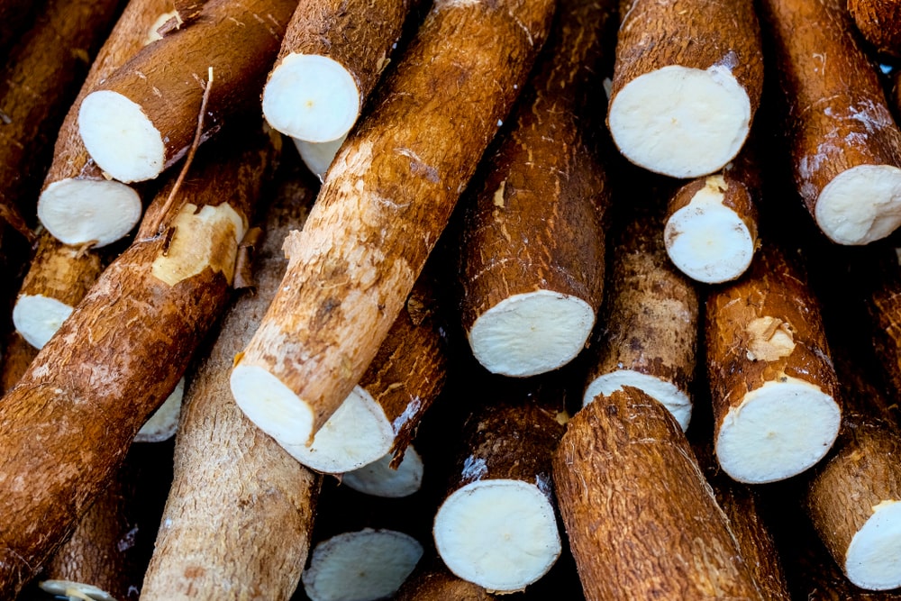 brown root crops that are cut to show creamy white interior