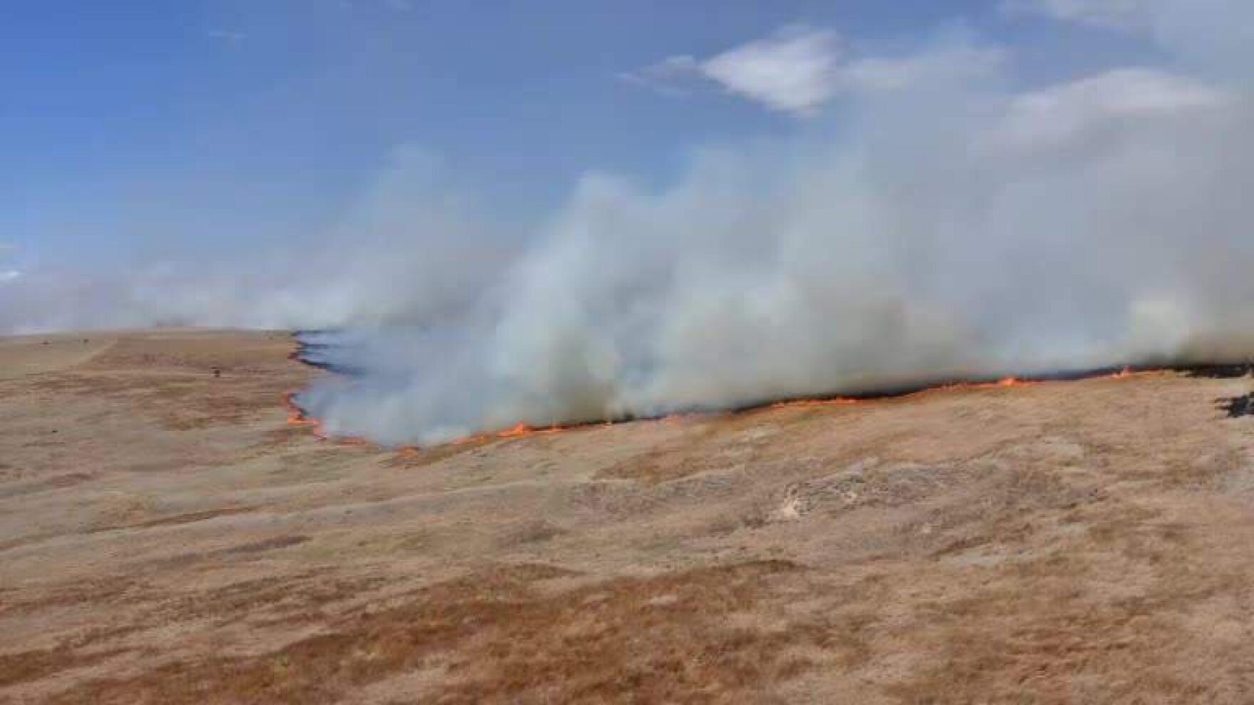 a wildfire burns in a dry plain