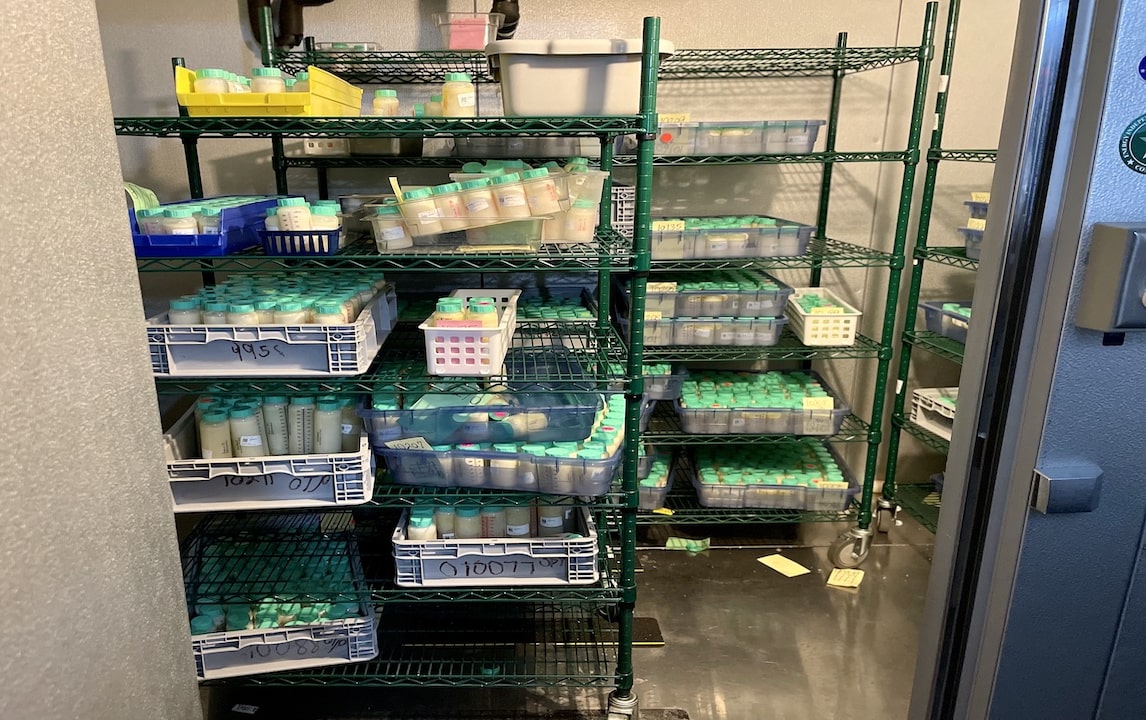 a storeroom with wheelable shelves stacked with jars filled with breast milk