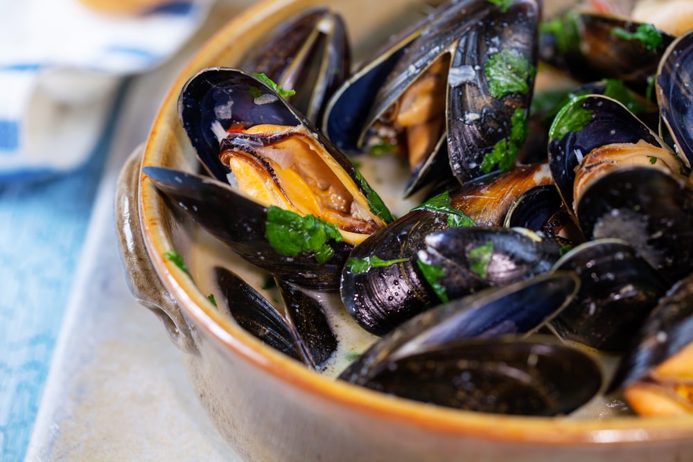 a bowl of steamed mussels in white wine sauce