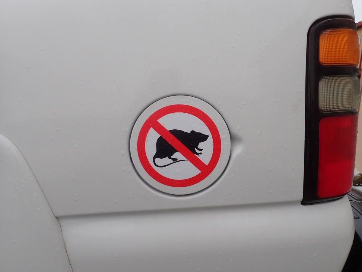 a logo of a black rat silhouette crossed out with a red sign on the side of a car