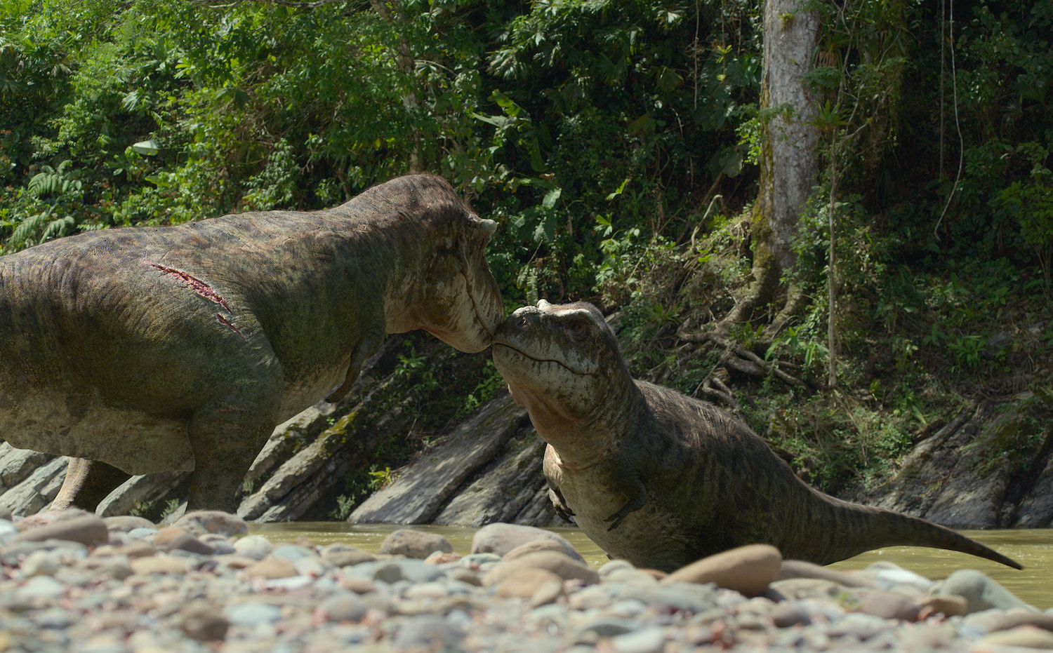 two very detailed renderings of t rexes nuzzling each other