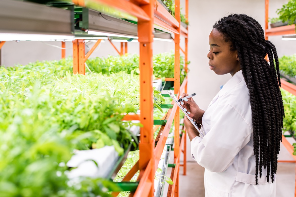 a young black female biologist writing notes while looking at seedlings in a greenhouse