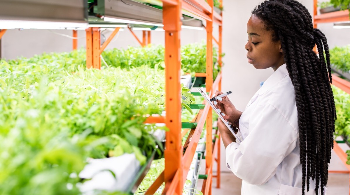a young black female biologist writing notes while looking at seedlings in a greenhouse