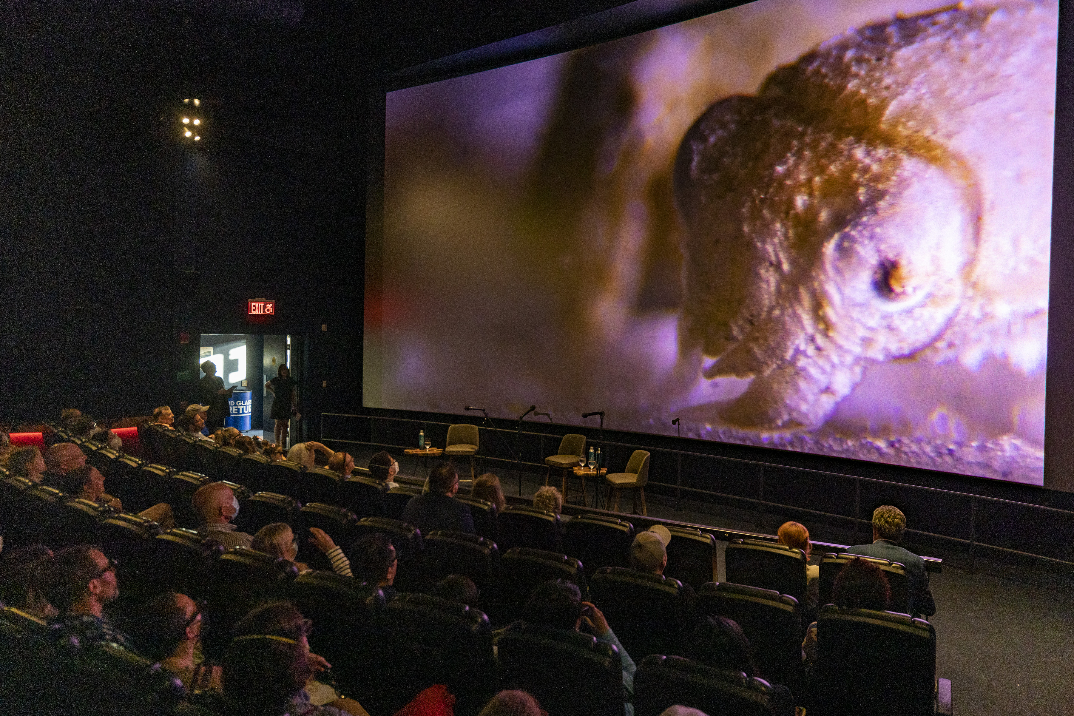 An auditorium of people looking at a cuttlefish on a movie screen.