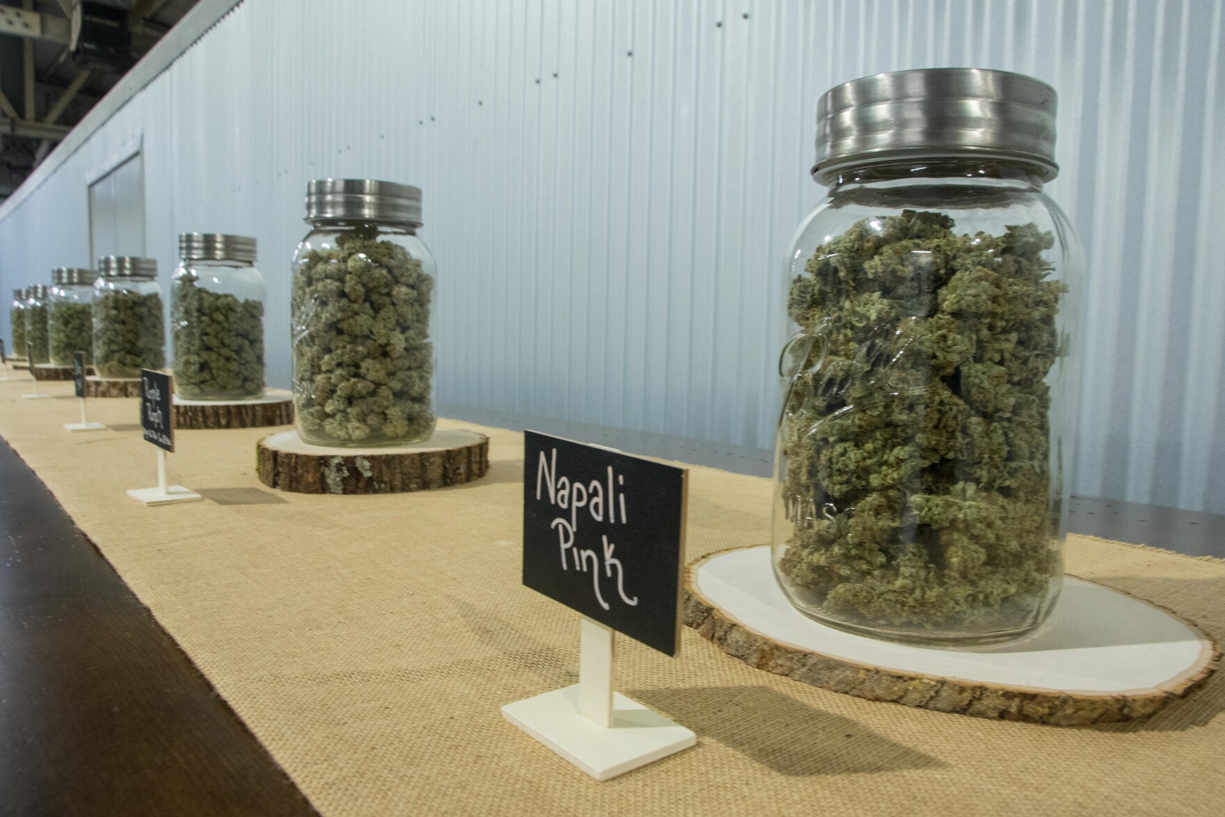 a shelf with fix large glass mason jars filled with cannabis flower