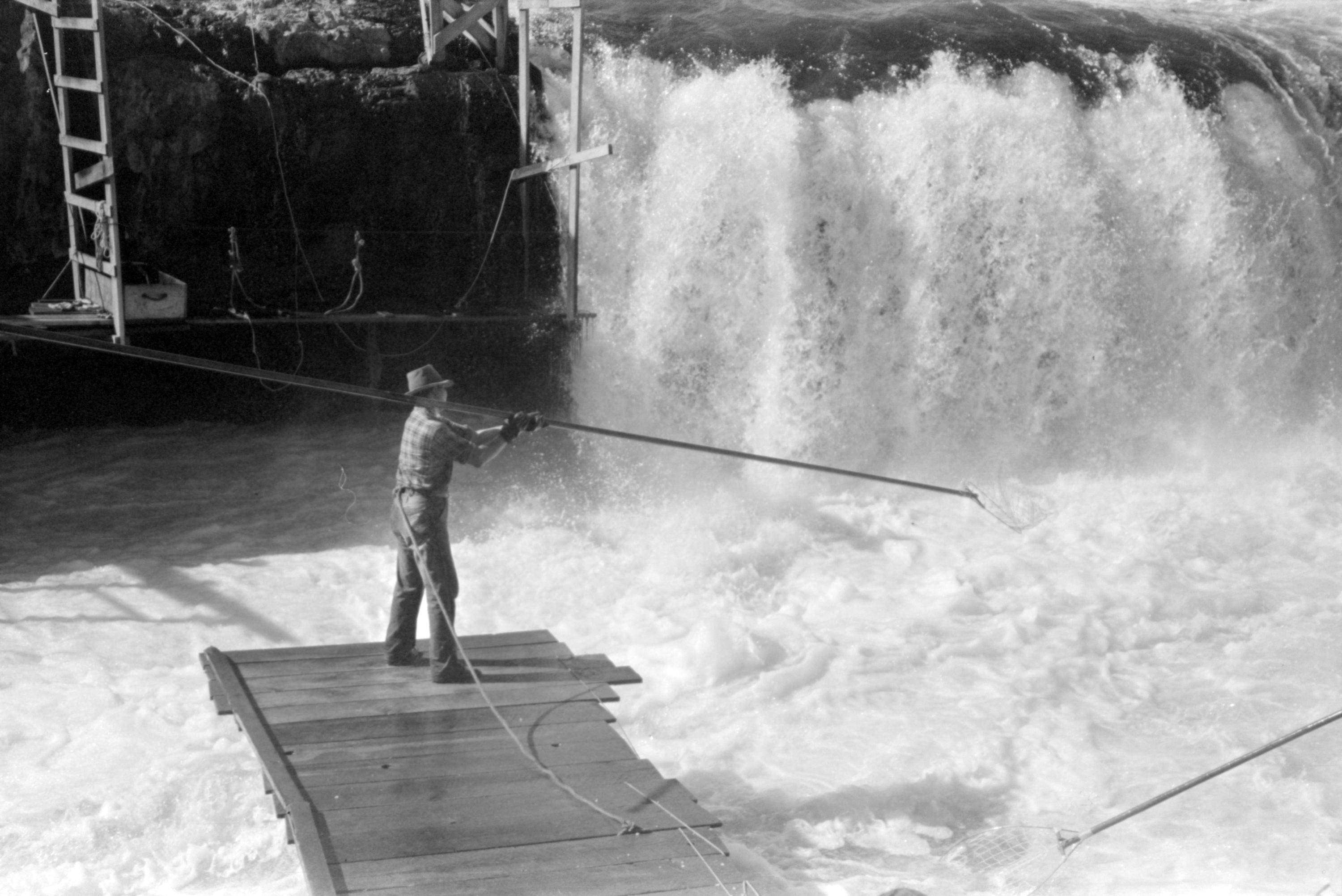 an old black and white photo of a man on an almost flooded dock on a raging river with a long fishing pole. a waterfall, more than twice his height gushes behind him