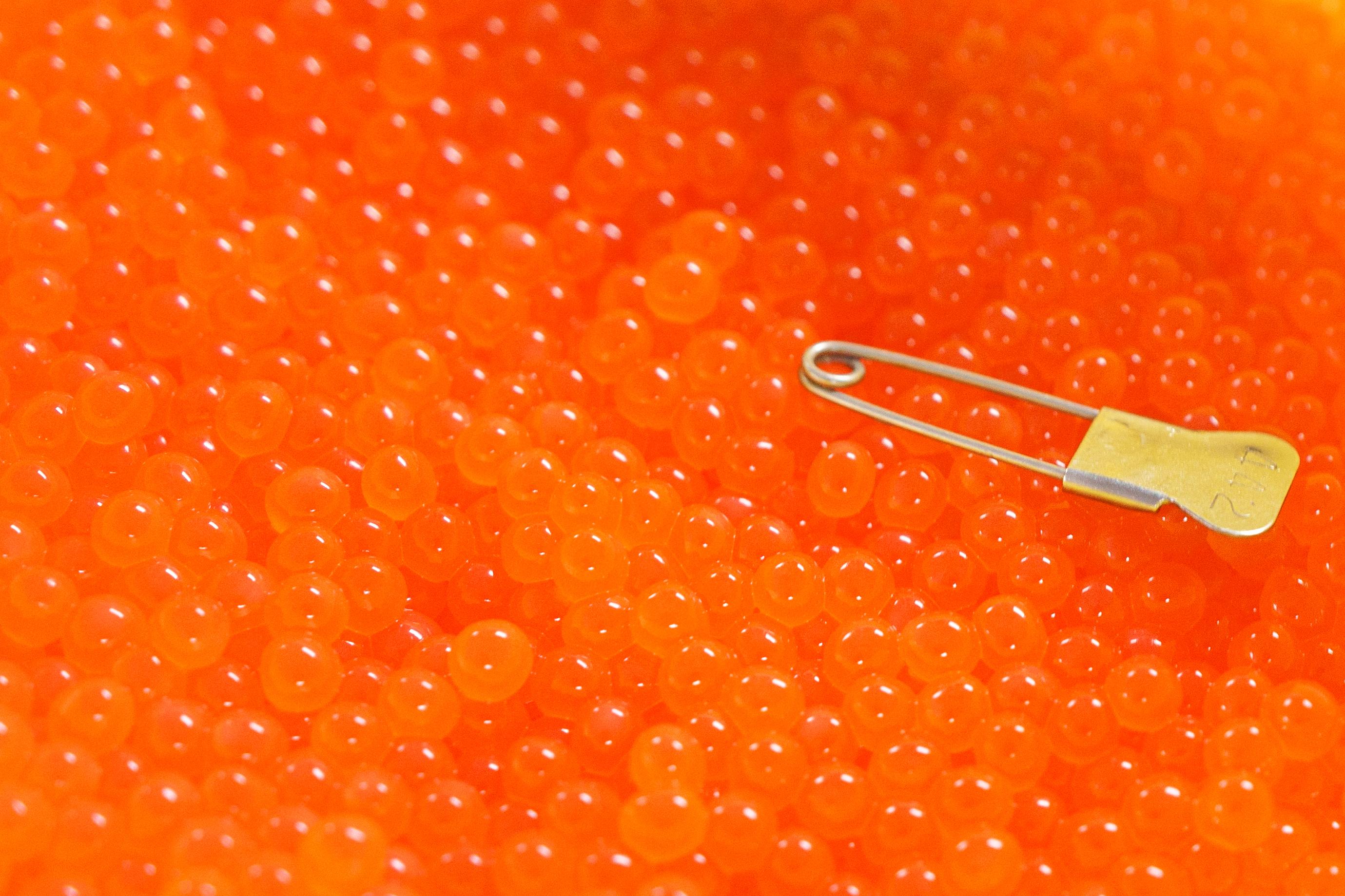 bright orange translucent salmon eggs fill the image with a paper clip with yellow tape laying on top of them