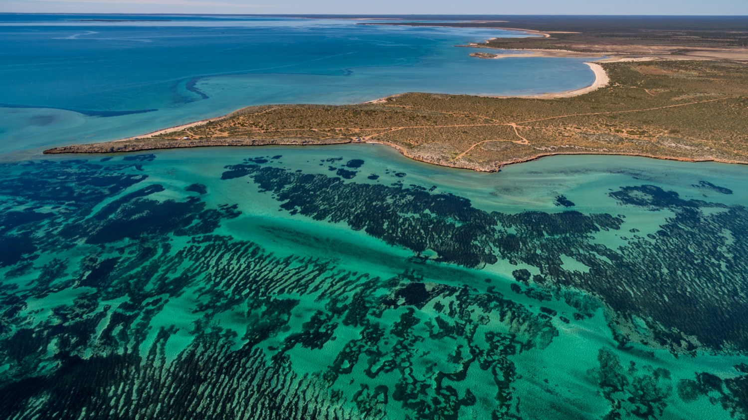 an aerial shot of some land, a bay, and crystal clear turquoise waters with dark patches of seagrass visible. it coats most of the visible shallow sea floor