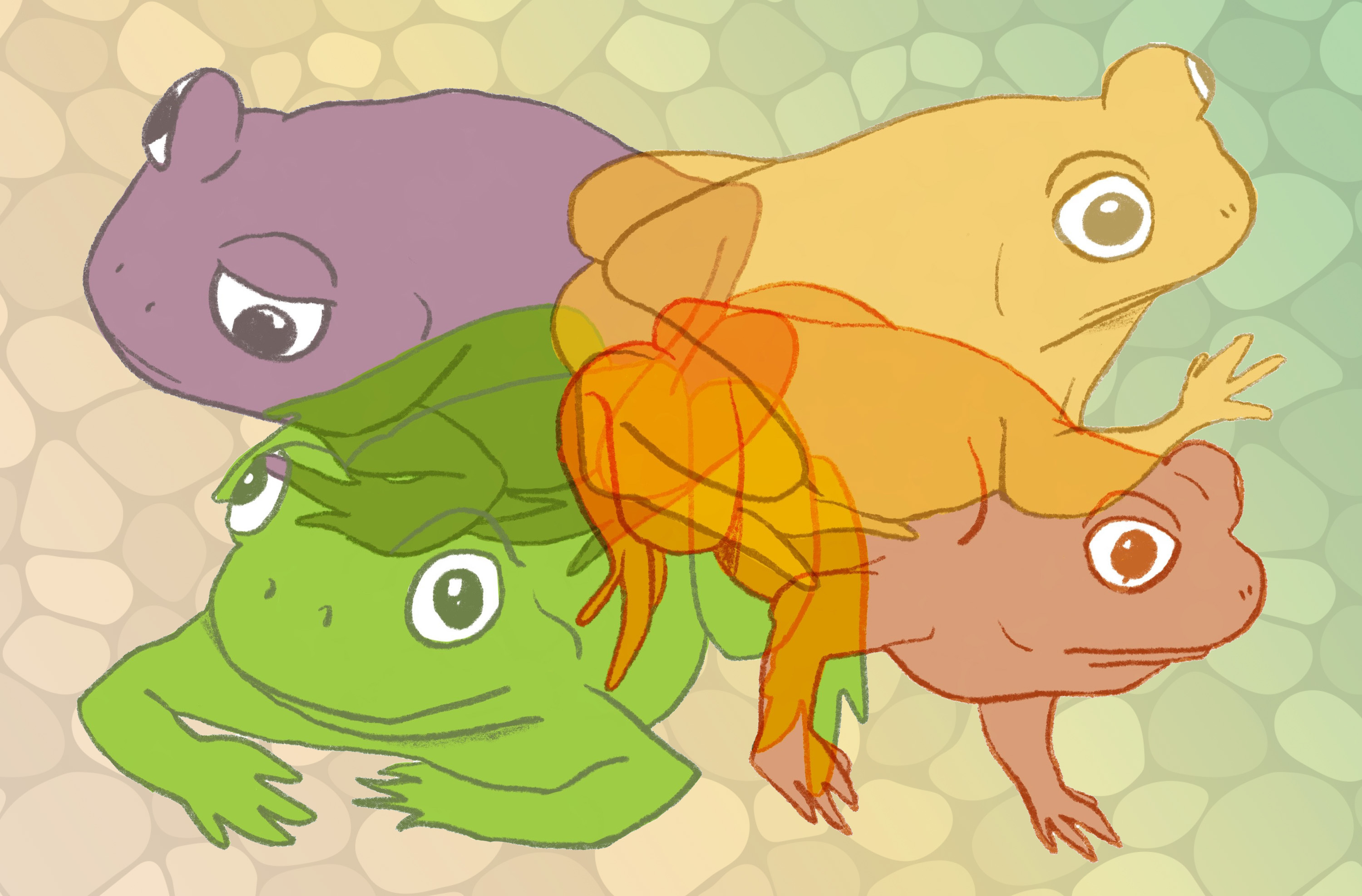 an illustration of four frogs of different colors facing out to the for corners of the image. their hind legs and rear ends overlap in the center. the background is abstract pebbles
