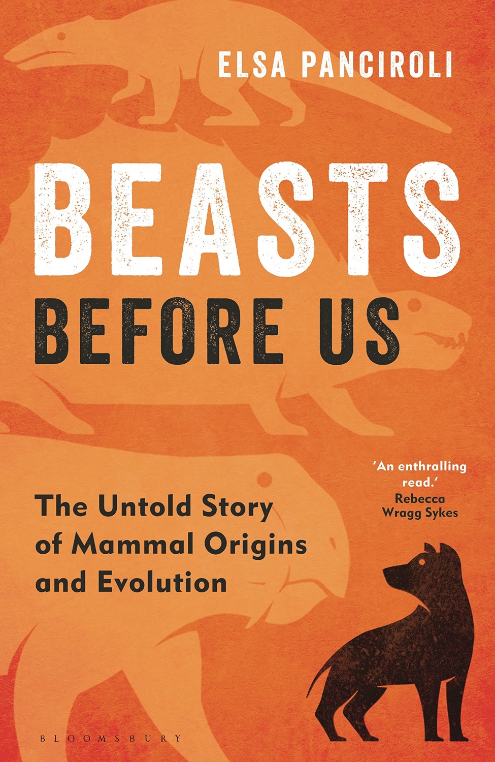 an illustrated book cover with simplified outlines of vaguely odd-looking four legged creatures, along the lines of a wolf, with text 'Beasts Before Us: The Untold Story Of Mammal Origins and Evolution by Elsa Panciroli'
