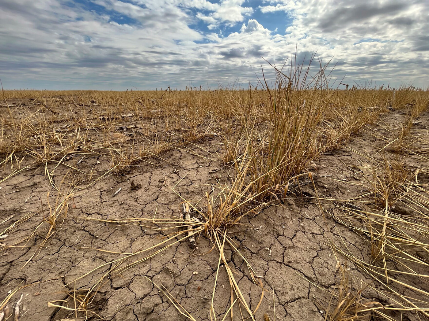 Dry and cracked ground in Kansas.