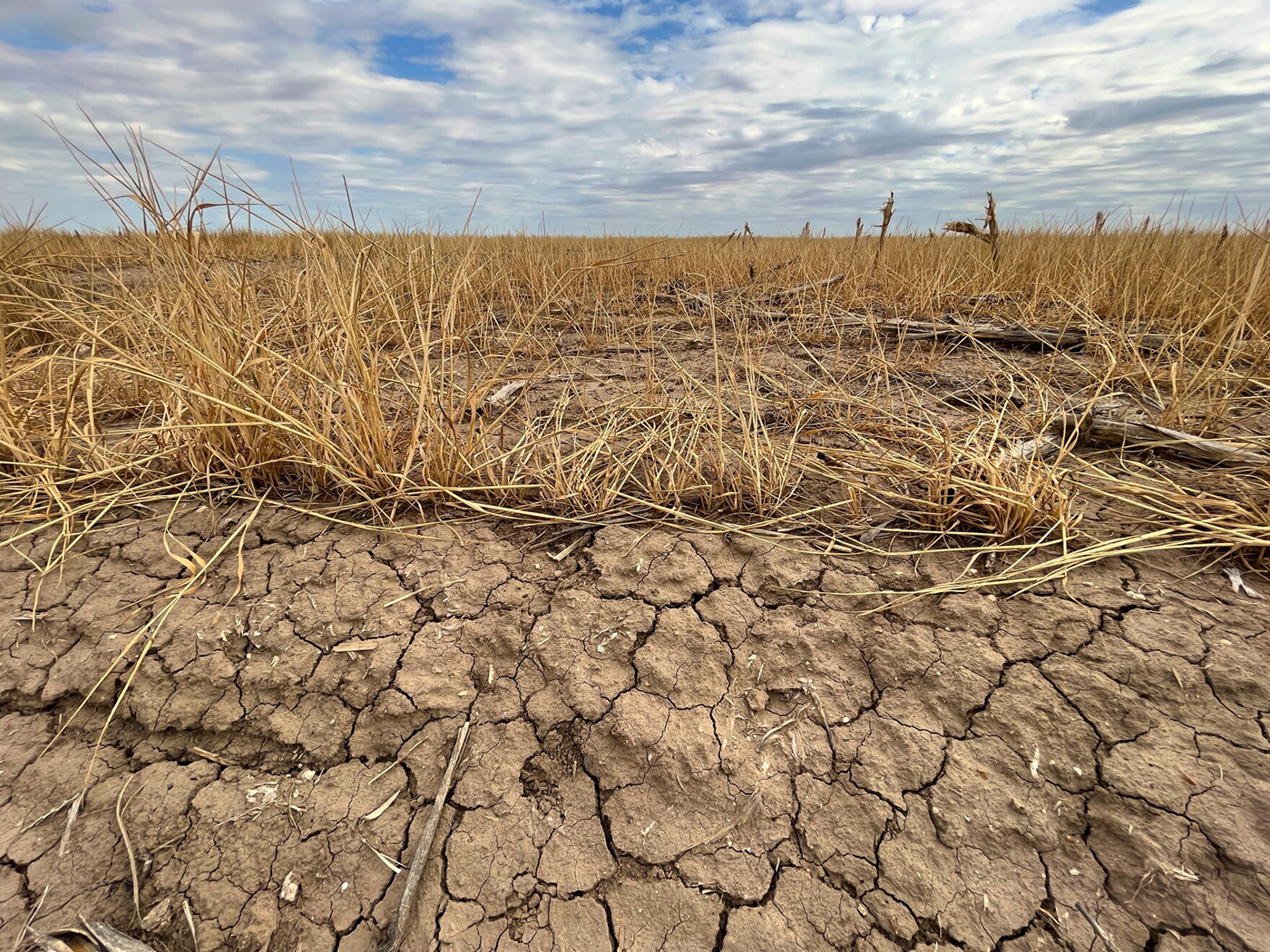 A barren and dry piece of land. 