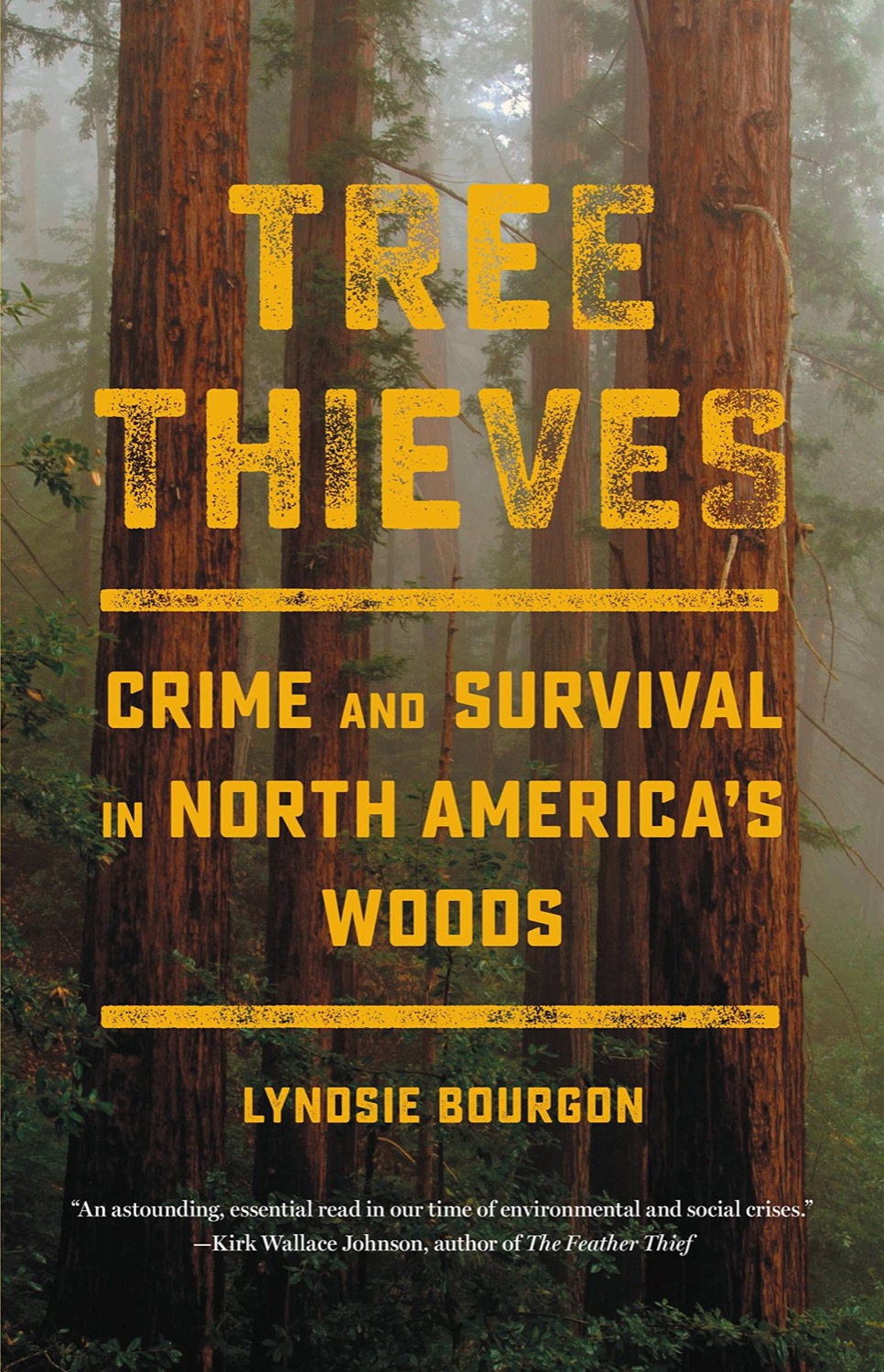 a book cover with a photo of two very tall trees in the foreground, with other tall trees behind them, shrouded in fog, with text 'The Tree Thieves: Crime And Survival In North America’s Woods by Lyndsie Bourgon'