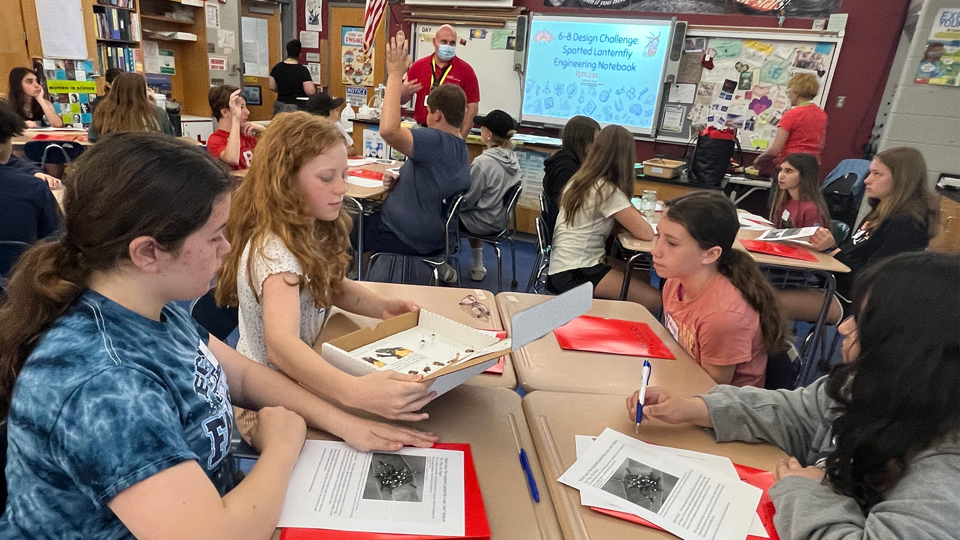 Photo of students in a classroom working in groups of four at desks with boxes and worksheets depicting spotted lantern flies.The projection of the screen in front of the class reads "6-8 Design problem Crested Crow Eng."