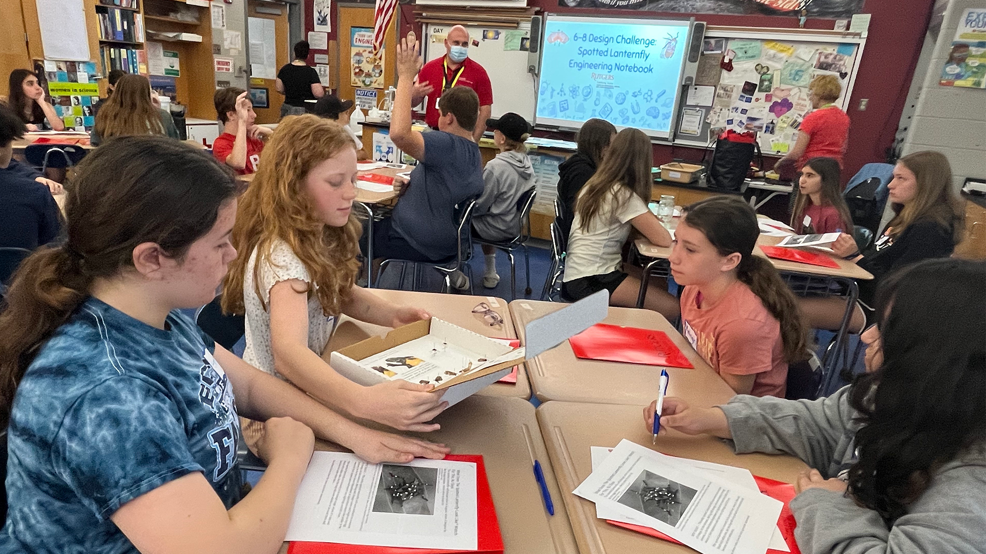 a photograph of students in a classroom working in groups of four at desks with boxes and worksheets featuring spotted lanternflies. the projection on the screen at the front of the class reads "6-8 Design Challenge Spotted Lanternfly Engineering Notebook"