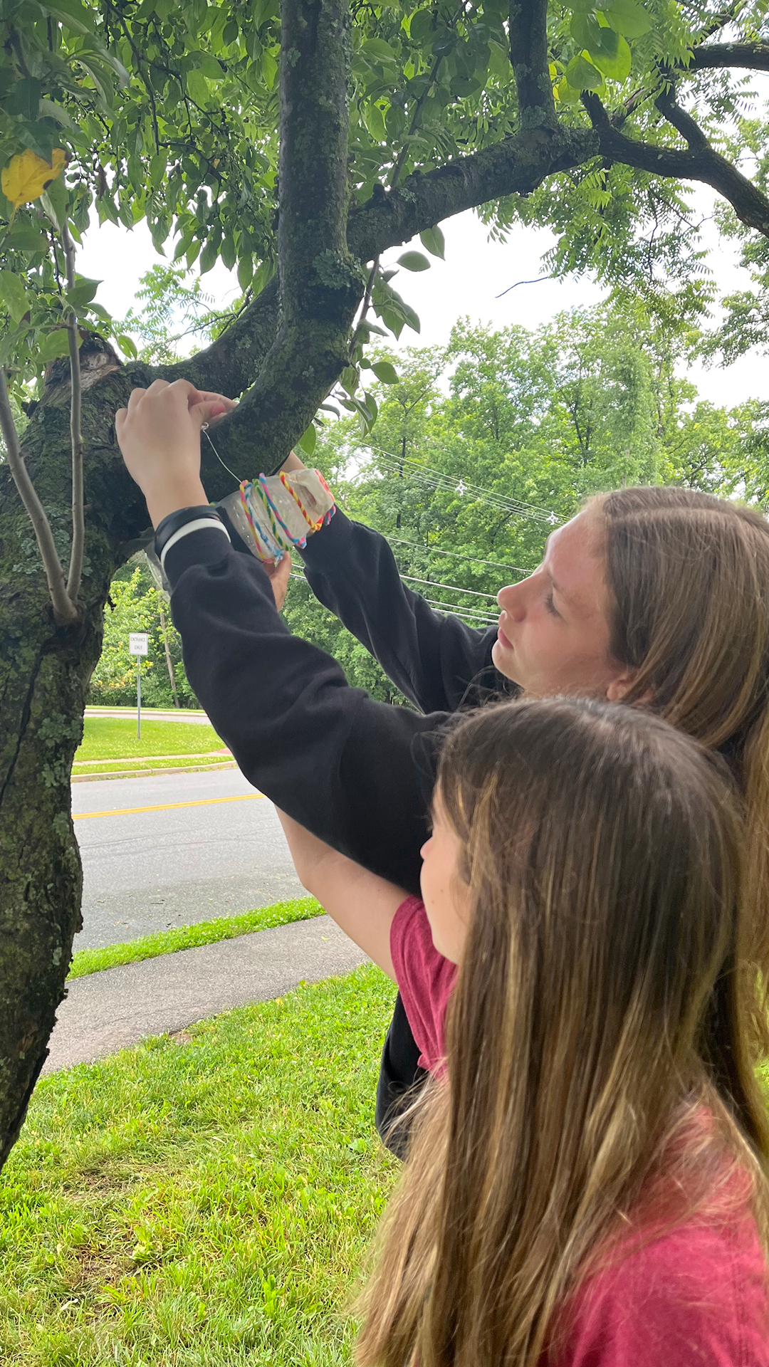 photograph of two middle school-aged students using string to tie a handmade trap for bugs onto the branch of a tree