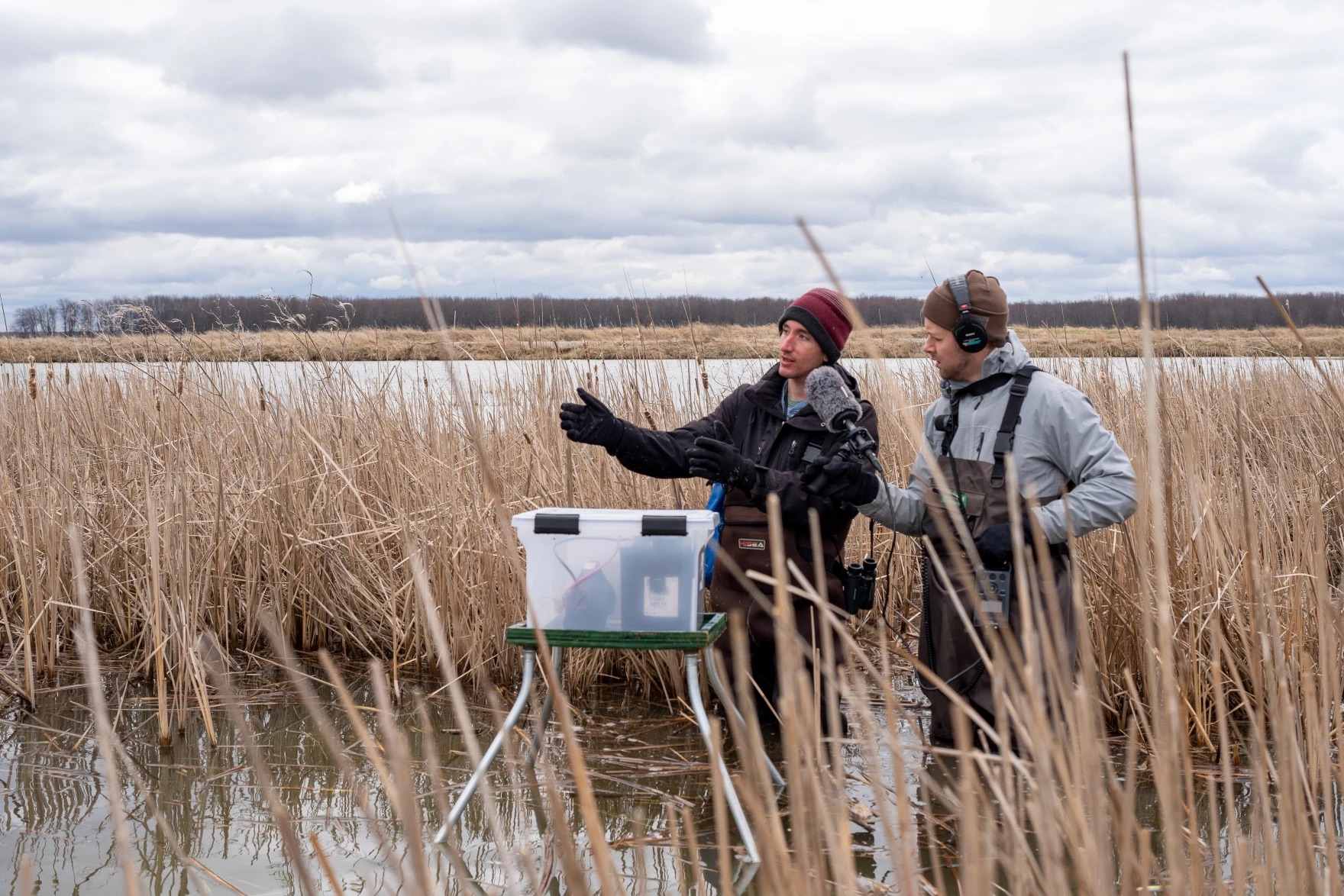 two white men in marsh on an overcast day. both are wearing several layers of clothing and beanies. one holds a micrphone up to the other. next to the other is a opaque plastic box on a table in front of him, with some kind materials inside the box