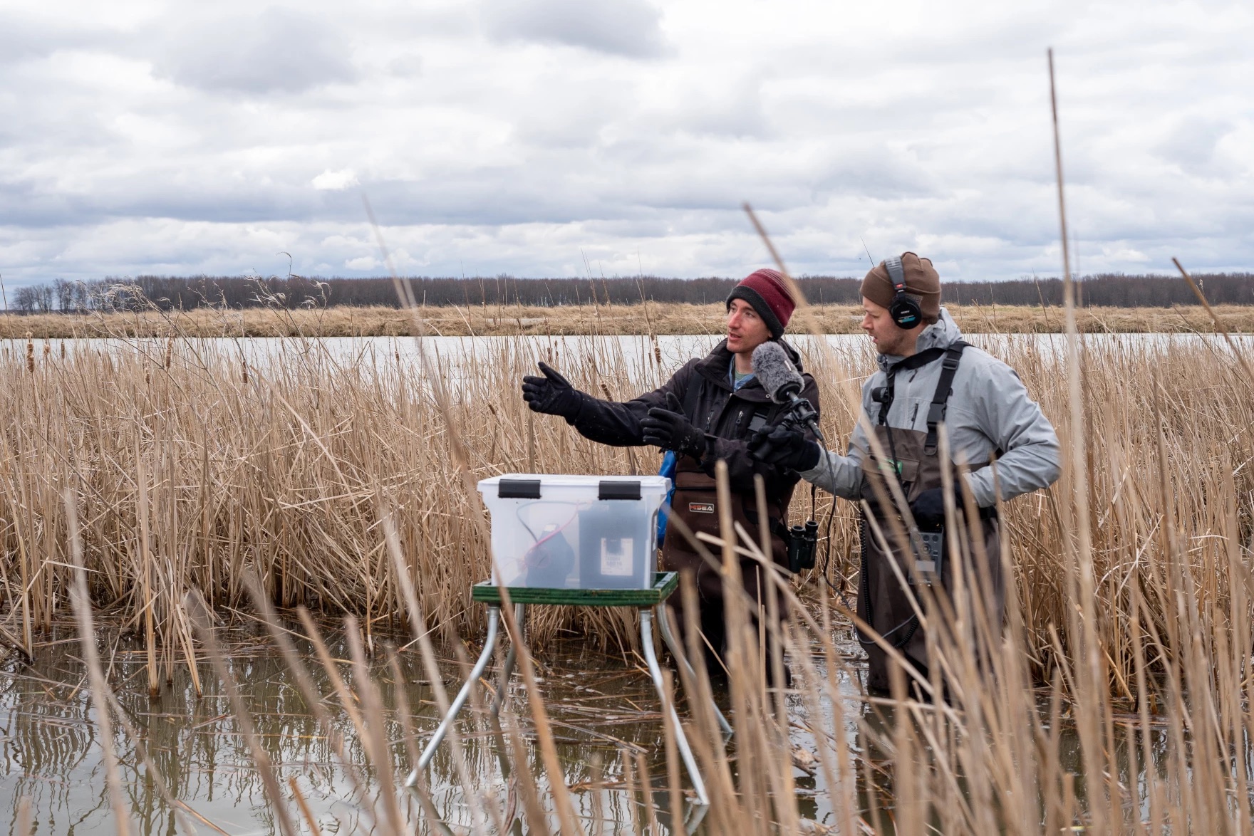 two white men in marsh on an overcast day. both are wearing several layers of clothing and beanies. one holds a micrphone up to the other. next to the other is a opaque plastic box on a table in front of him, with some kind materials inside the box