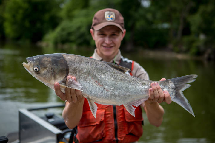 A man on a boat wearing a life jacket holds up a silvery fish about 2 feet long to the camera.