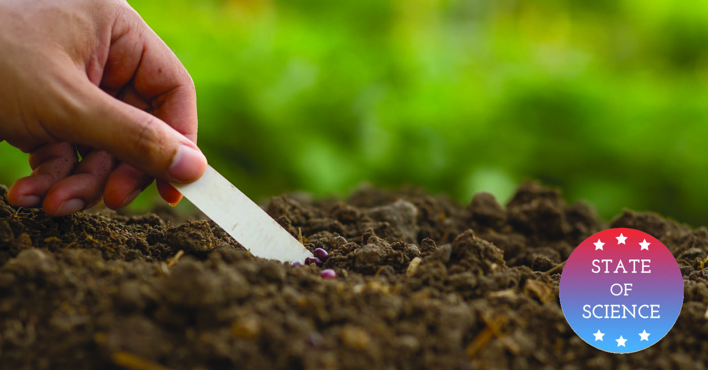 Some Grasses Can Stop Lead From Spreading In Soil