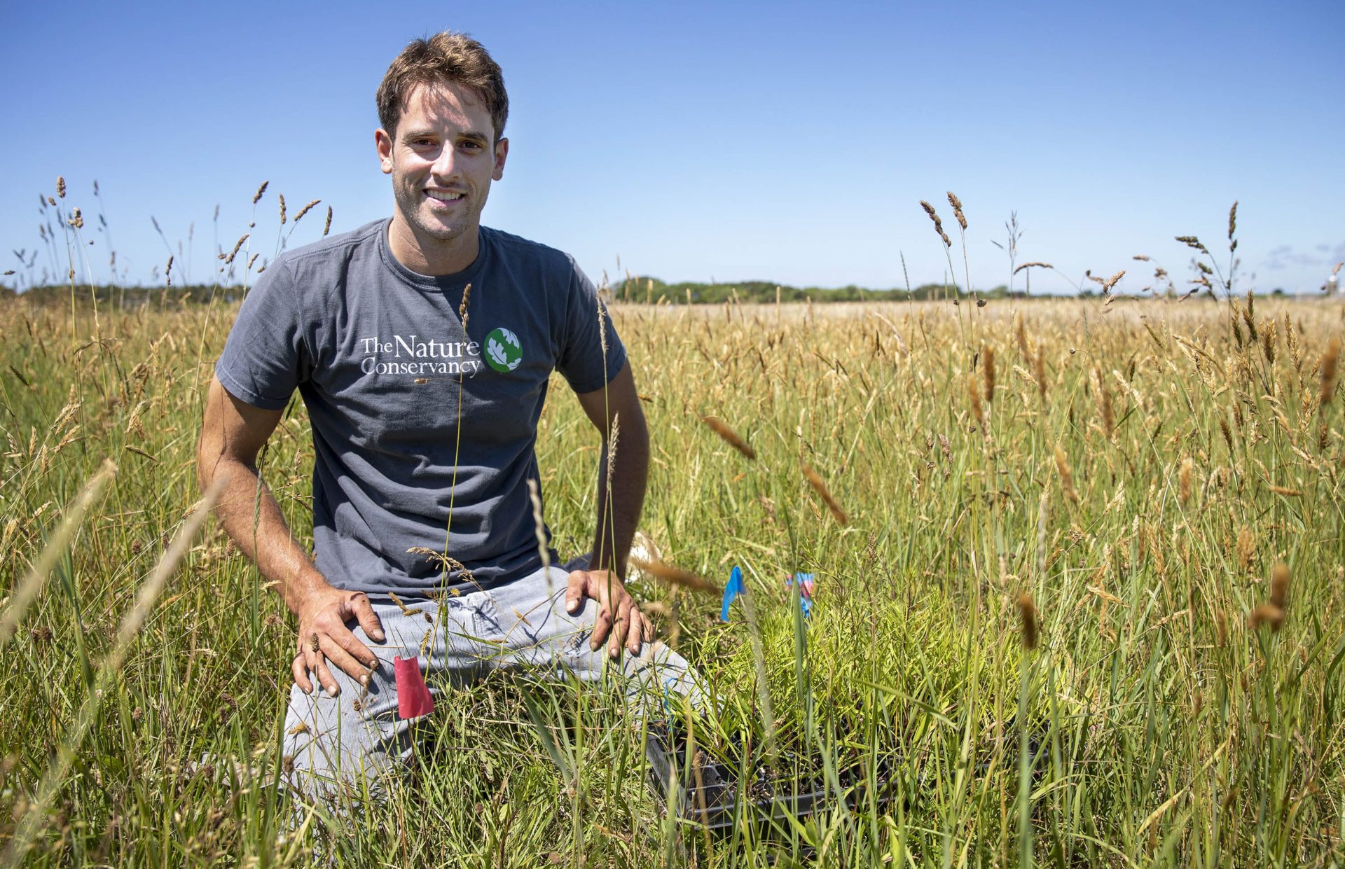 A man kneels in tall grass with diverse shapes and seed pods, smiling toward the camera.
