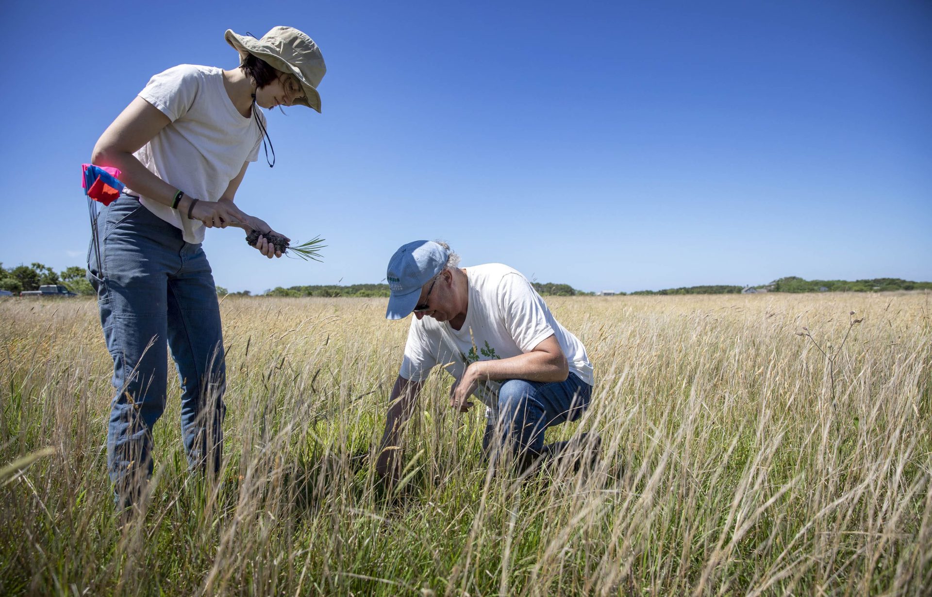 In the hot sun, someone with a wide-brimmerd hat hands a plant seedling to another person facing down, planting other seedlings in the grass. The sandplain goes back all the way to the edge of the horizon.