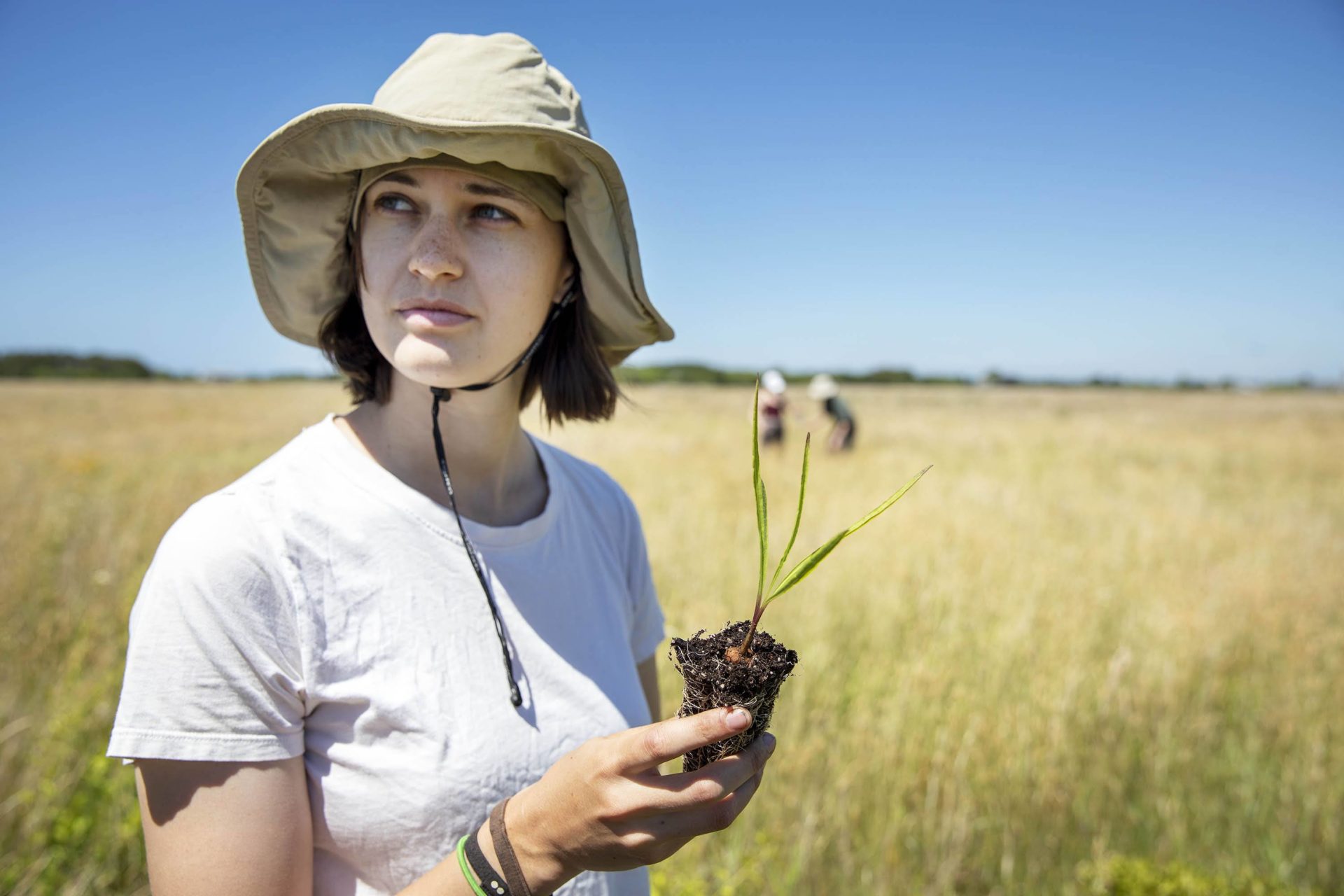 A woman with a wide-brimmed hat looks left of the frame, holding a healthy seedling in the center of the frame. Its roots wrap around the soil pod that contains it.