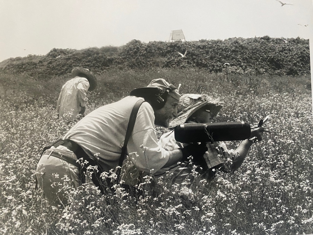 a black and white photo of an older white man wearing a backwards baseball cap with headphones and a large mic recorder over his shoulder, holds a large microphone with a wind cover on it. he crouches down in a tall field of small flowers. a woman behind him, also crouching down and wearing a hat, holds a small notepad and pen. a third man wearing a hat is in the background, turned away from the camera