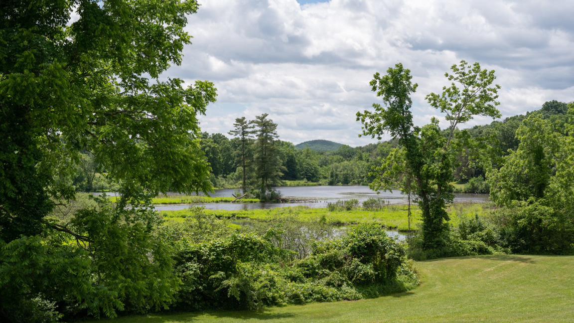 A lush green park, with a small pond in the center. Trees and bushes of different heights surround the pond.