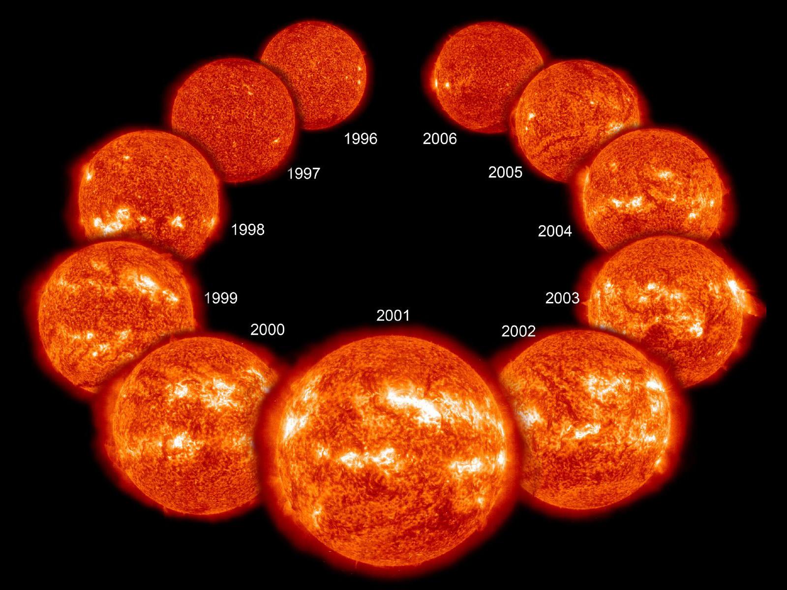 A diagram showing 11 pictures of the Sun as it goes through the solar cycle.