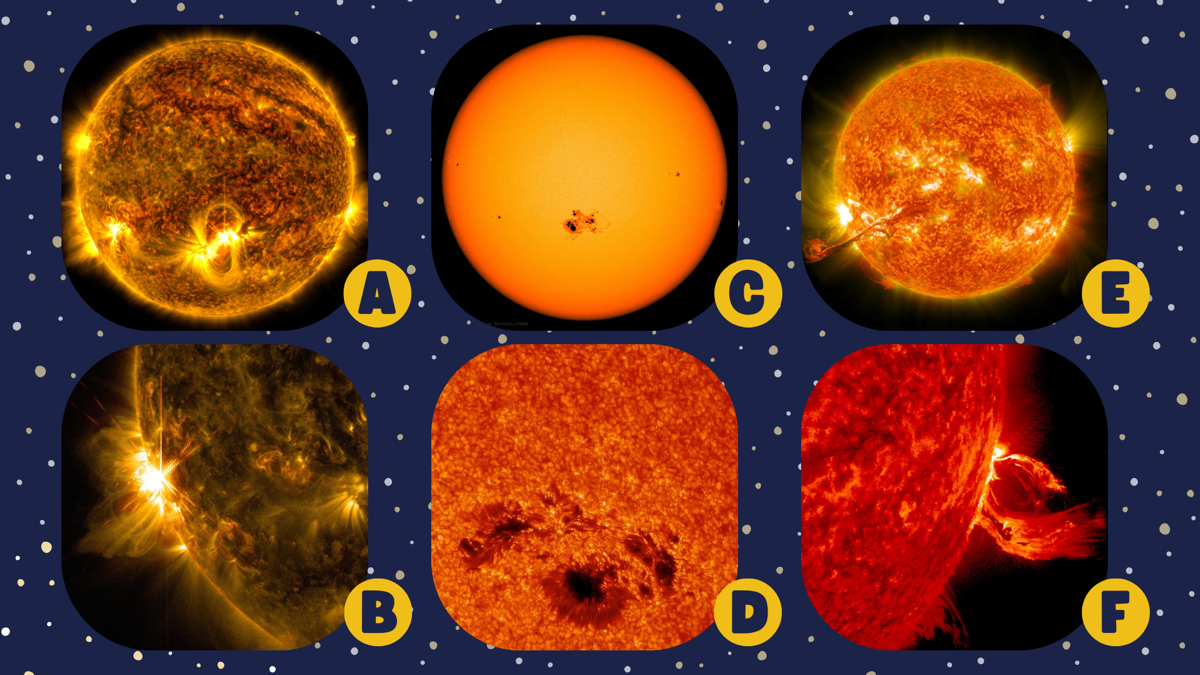 A collage of images of the Sun grouped by the type of feature shown.