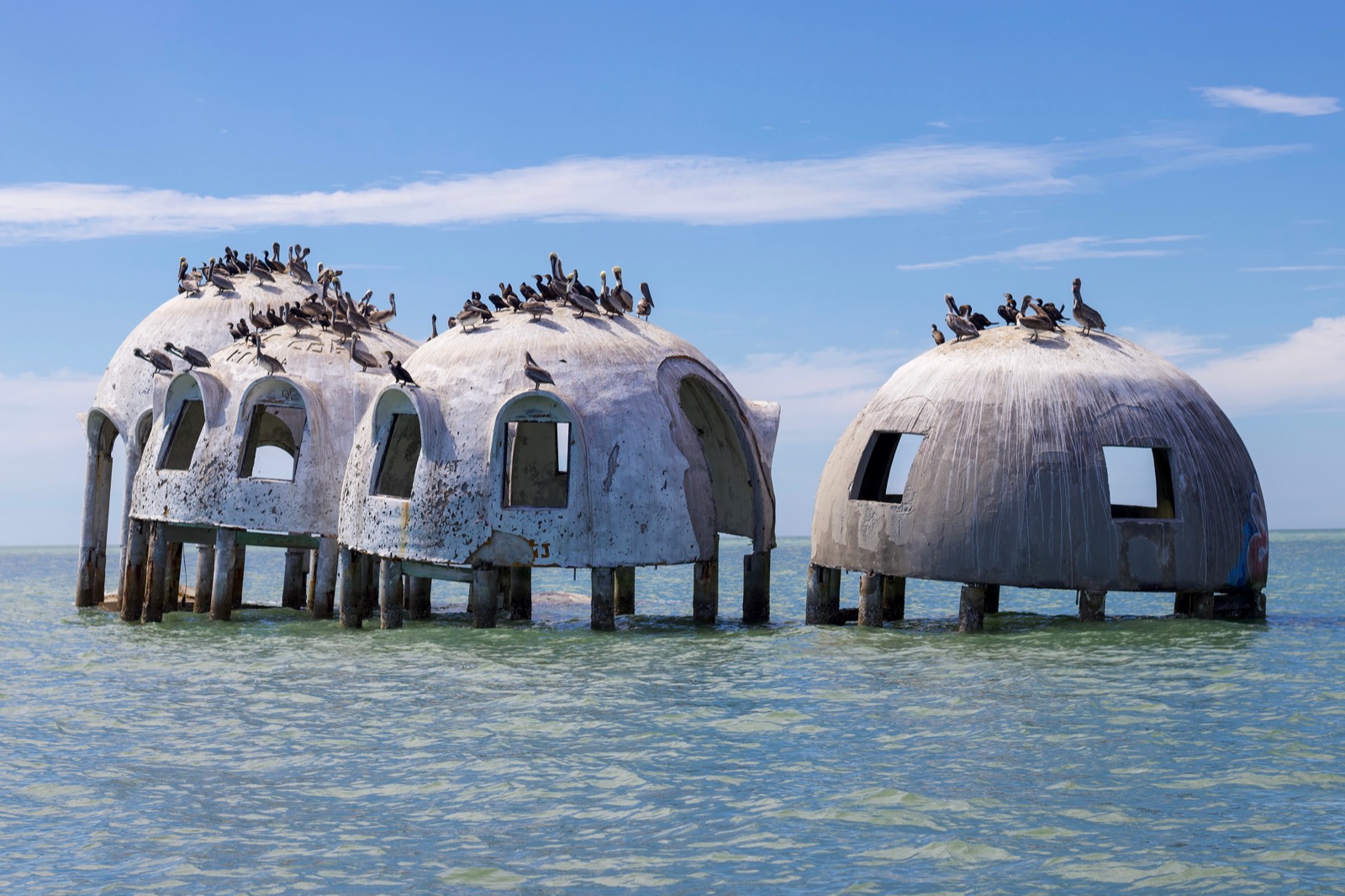 three dome-shaped concrete structures with holes that used to be windows. they sit on beams sticking out of the water, and some lean akwardly. dozens of seagulls perch on them