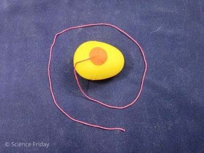 A plastic egg with a string attached to it.