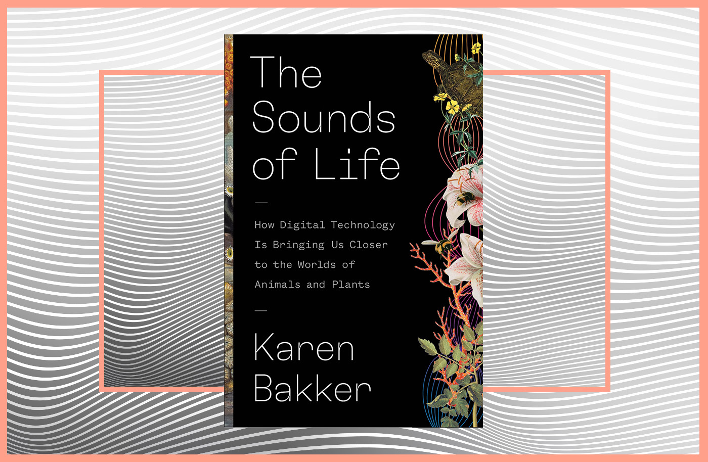 Decoding The Hidden World Of Nonhuman Sound, With New Biotech Decoding The Hidden World Of Nonhuman Sound, With New Biotech