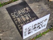 The Science Of Sunlight And Shadows